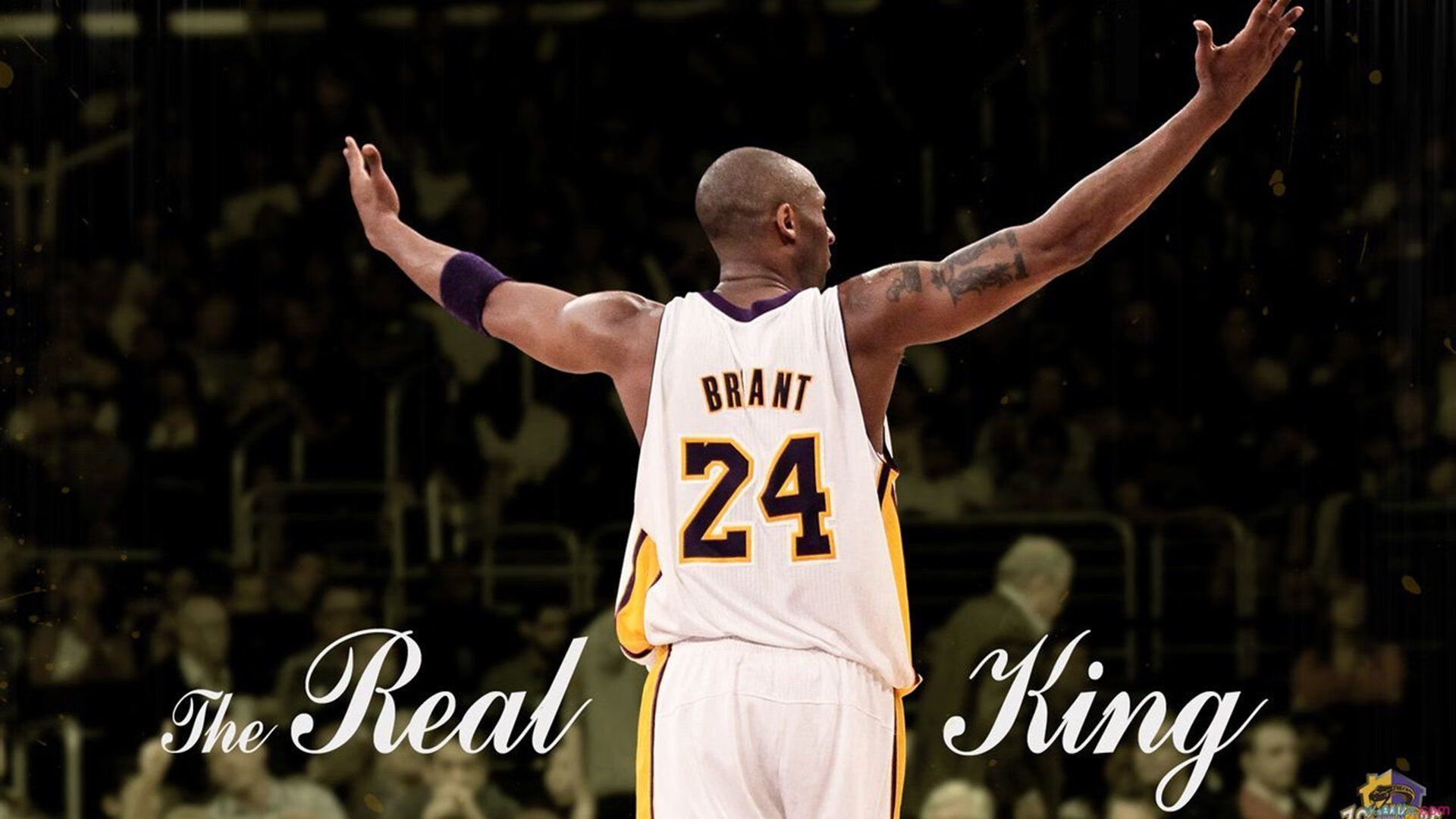 EDG主场观众热情高涨,edg主场观众热情高涨