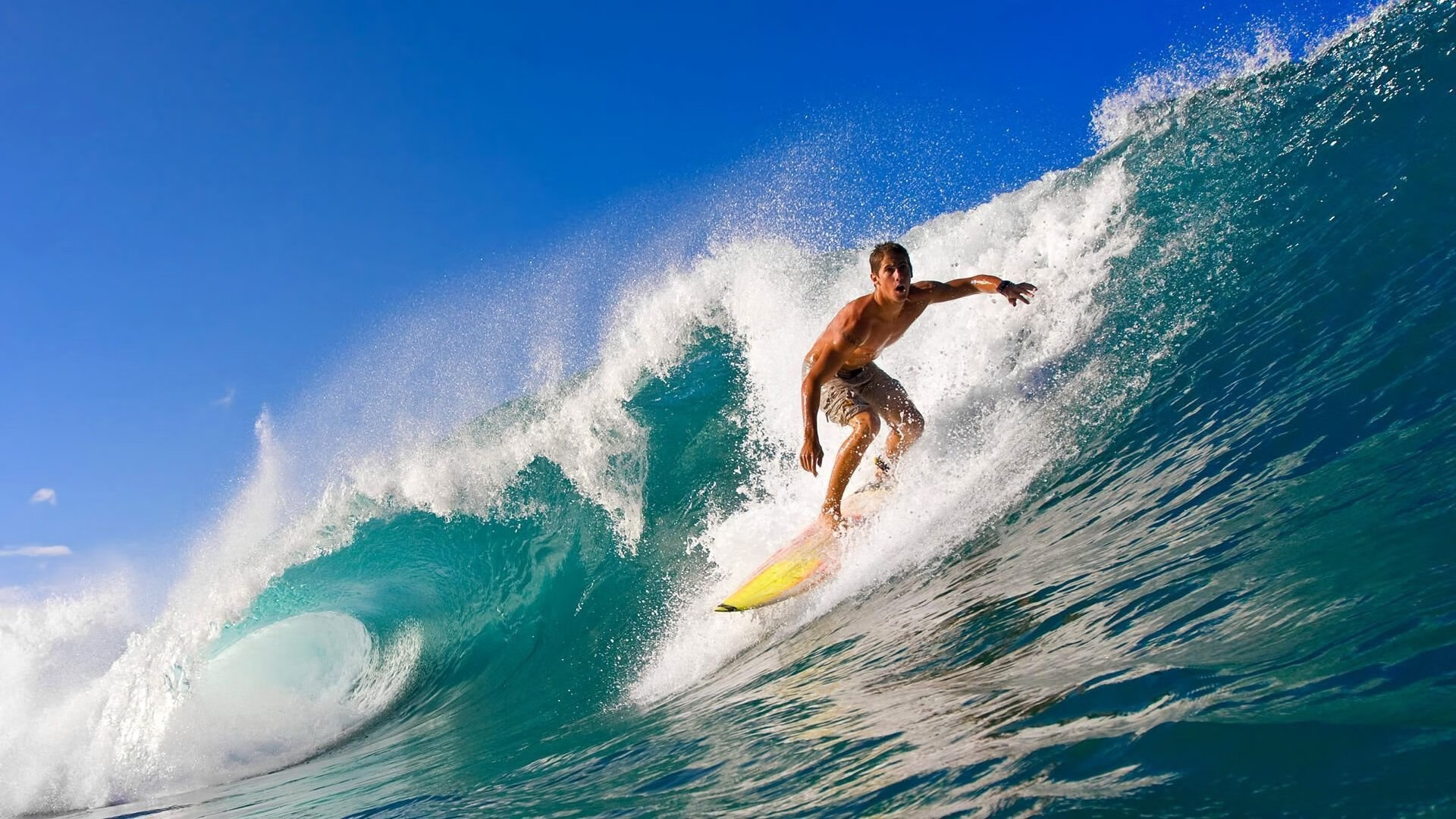 爱游戏-“冠军的装备”——专属车辆调校细节全揭秘